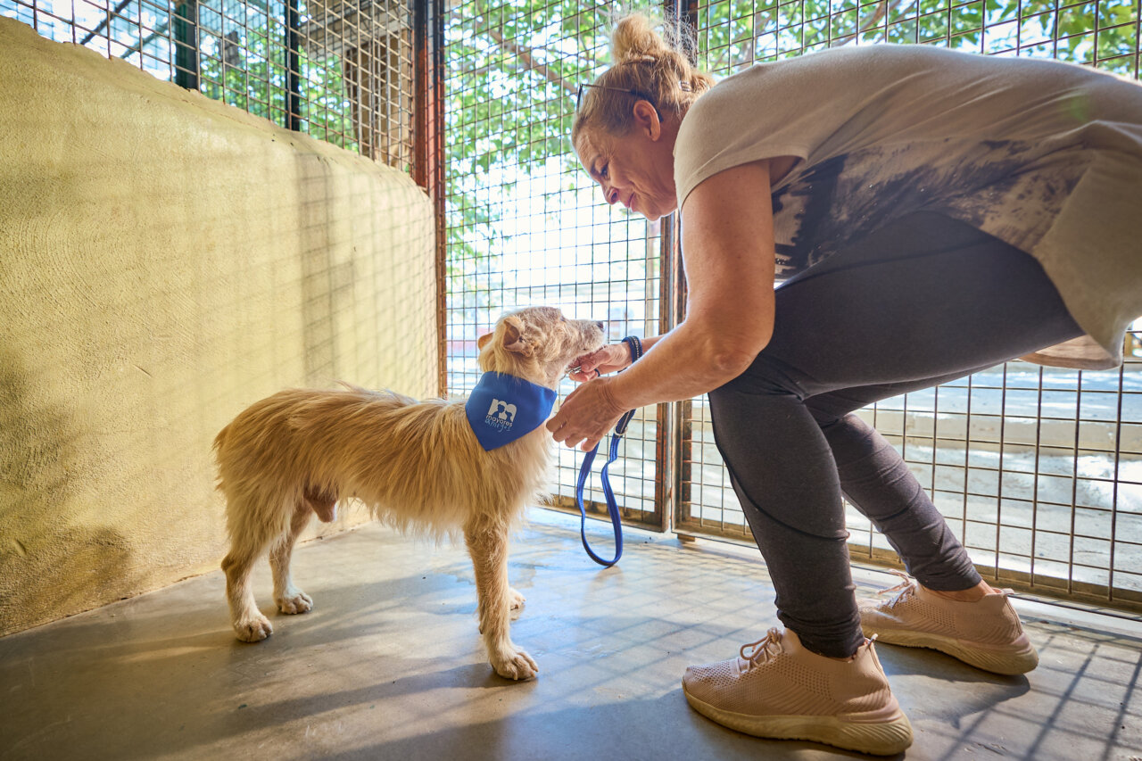 Una mujer interactuando con un perro en un refugio de animales.