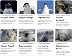 Diversas especies de pingüinos y focas en la Antártida
