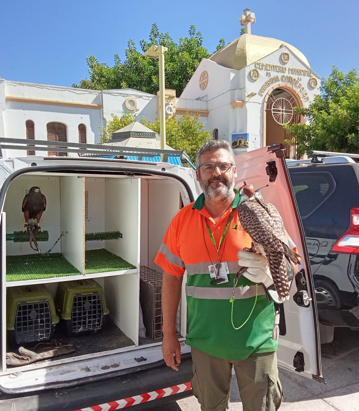 Imagen del artículo