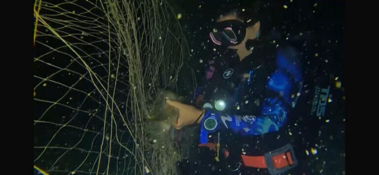 Buceador retirando una red de pesca ilegal del fondo marino