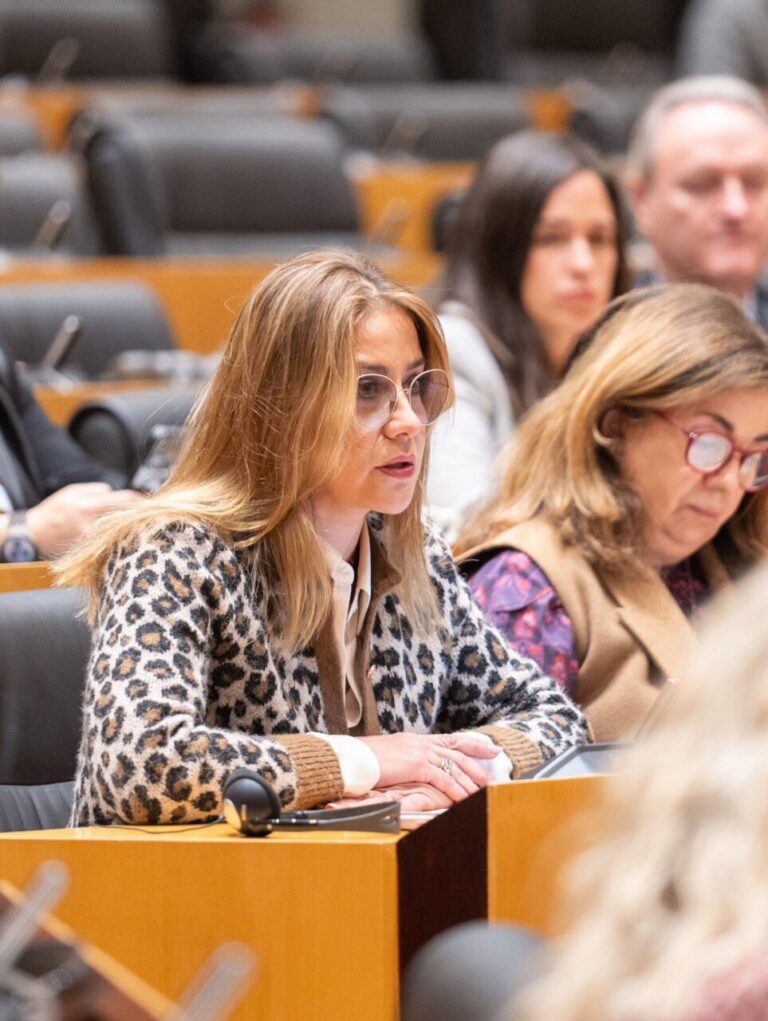 Sofía Acedo hablando en una sesión parlamentaria sobre sanidad.