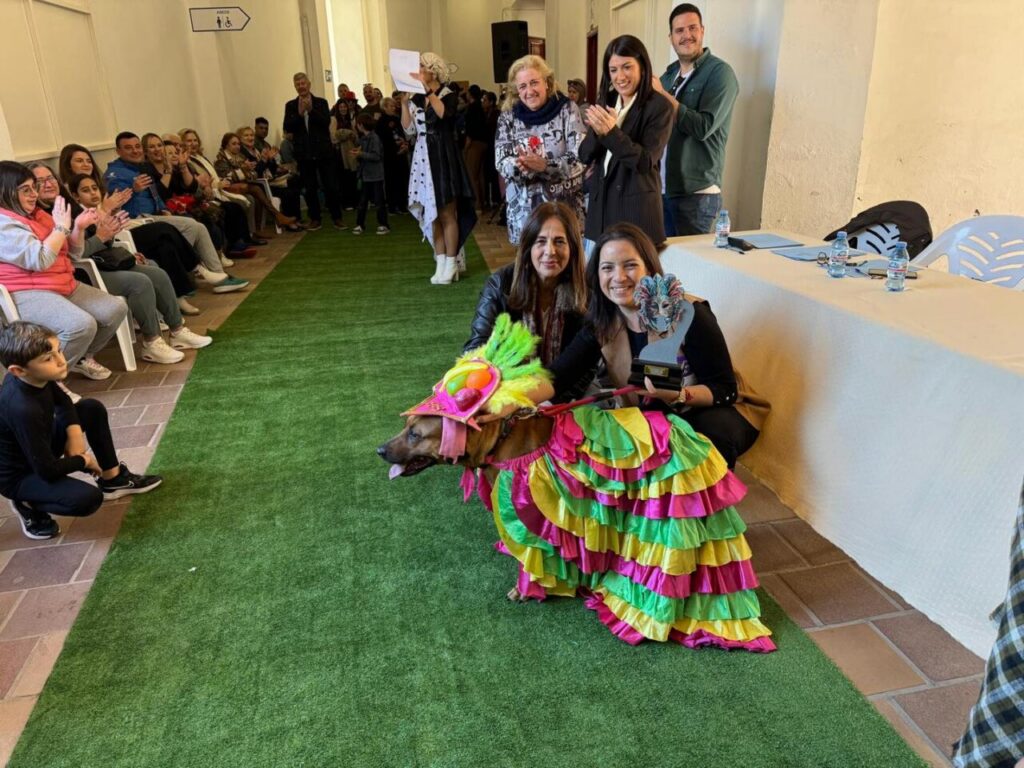 Participantes en el concurso de disfraces de mascotas en Melilla