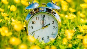 Reloj despertador en un campo de flores amarillas