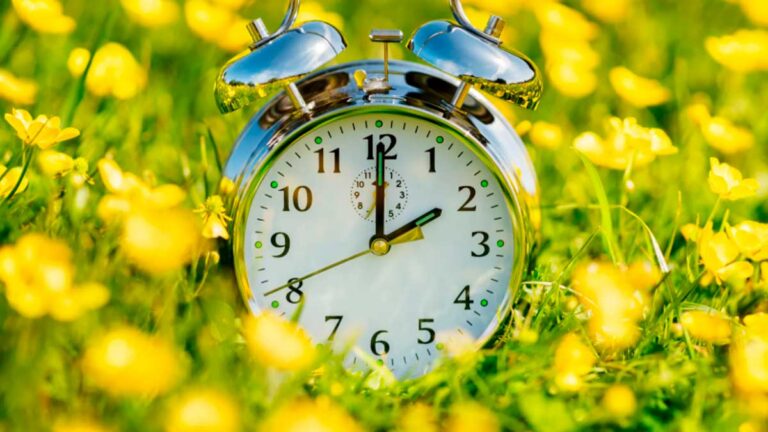 Reloj despertador en un campo de flores amarillas
