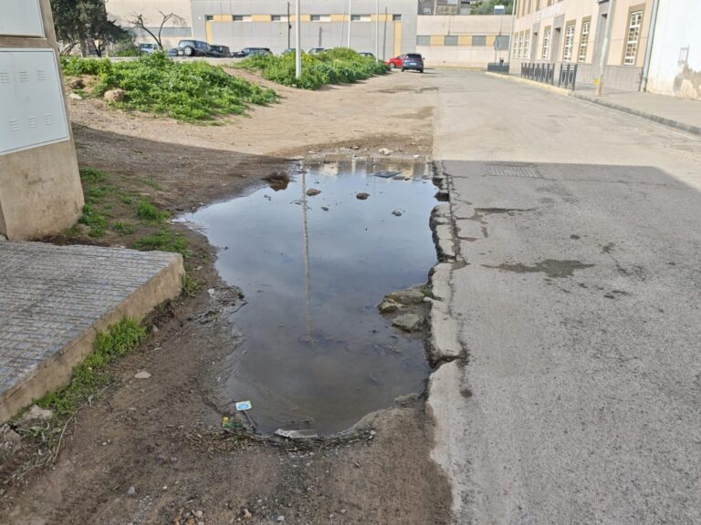 Charcos de agua en una calle de Melilla con vegetación