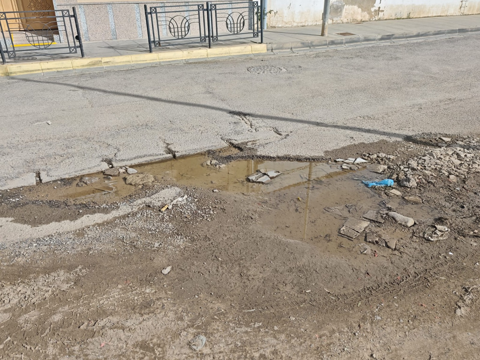 Imagen del artículo