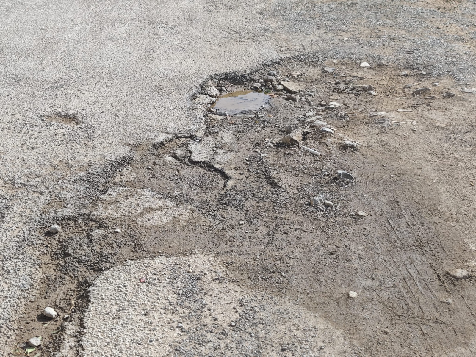 Imagen del artículo