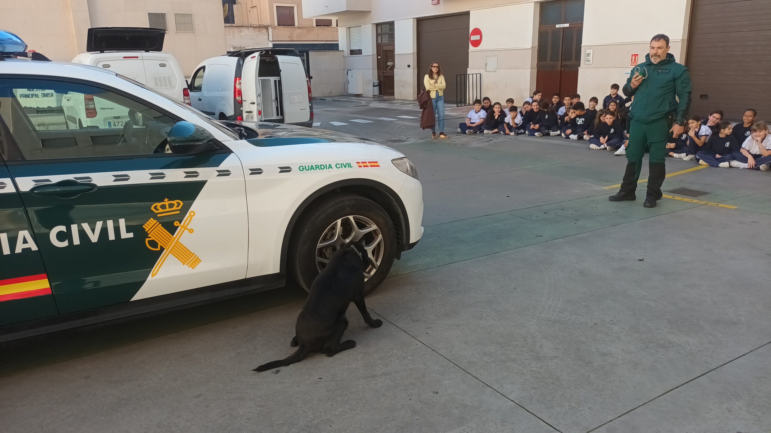 Imagen del artículo