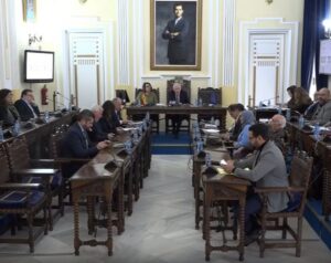 Reunión del pleno con varios miembros discutiendo en la asamblea