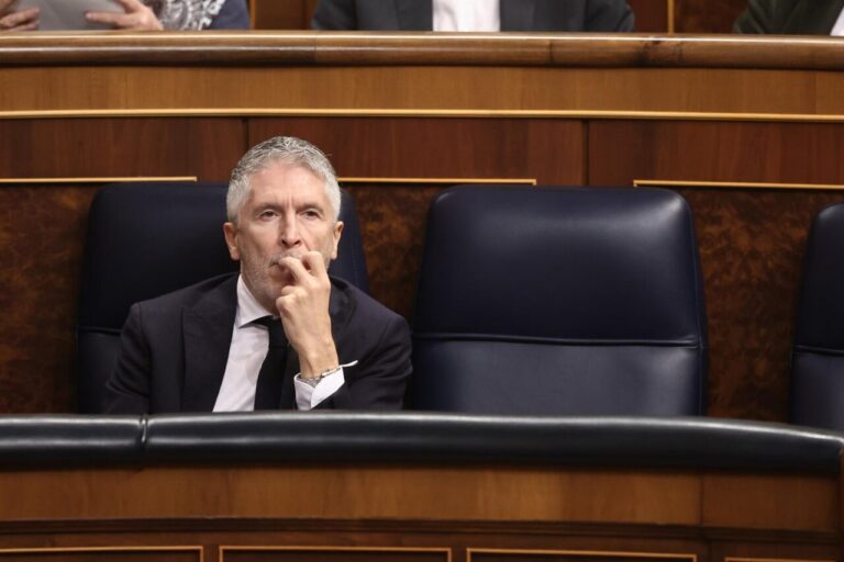 Fernando Grande-Marlaska durante su declaración en el Congreso de los Diputados