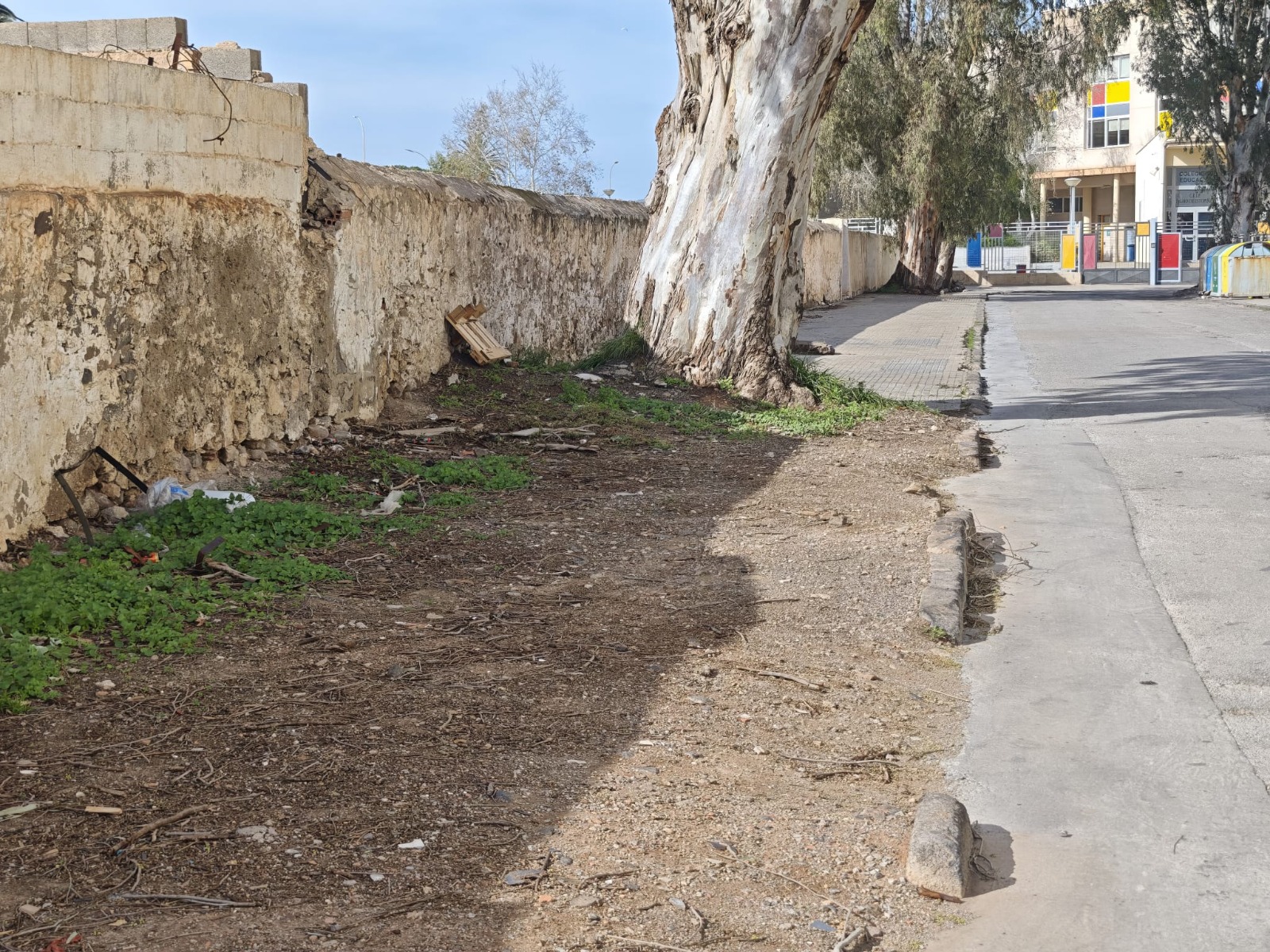 Imagen del artículo