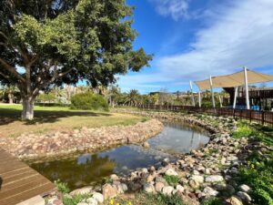 Vista del Parque Forestal Juan Carlos I con árboles y un estanque
