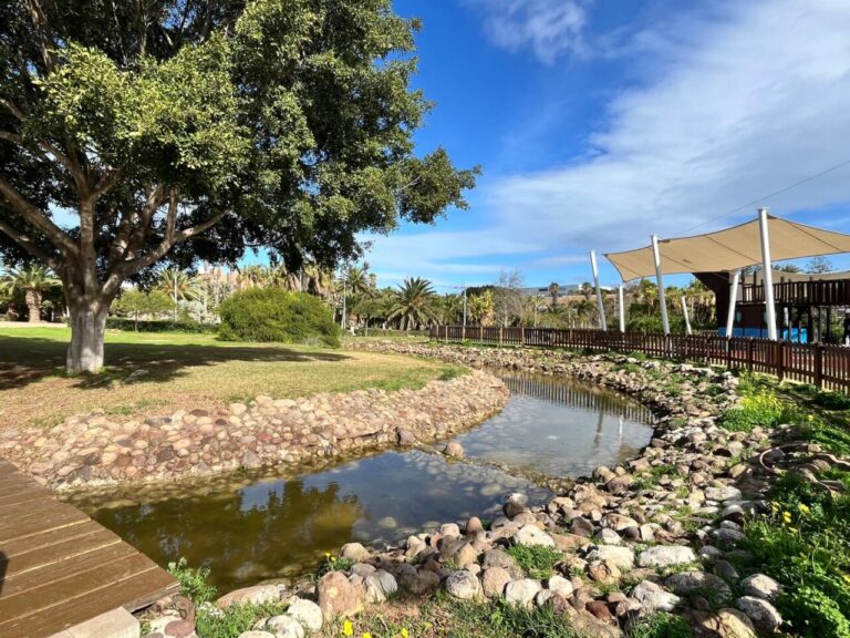 Vista del Parque Forestal Juan Carlos I con árboles y un estanque