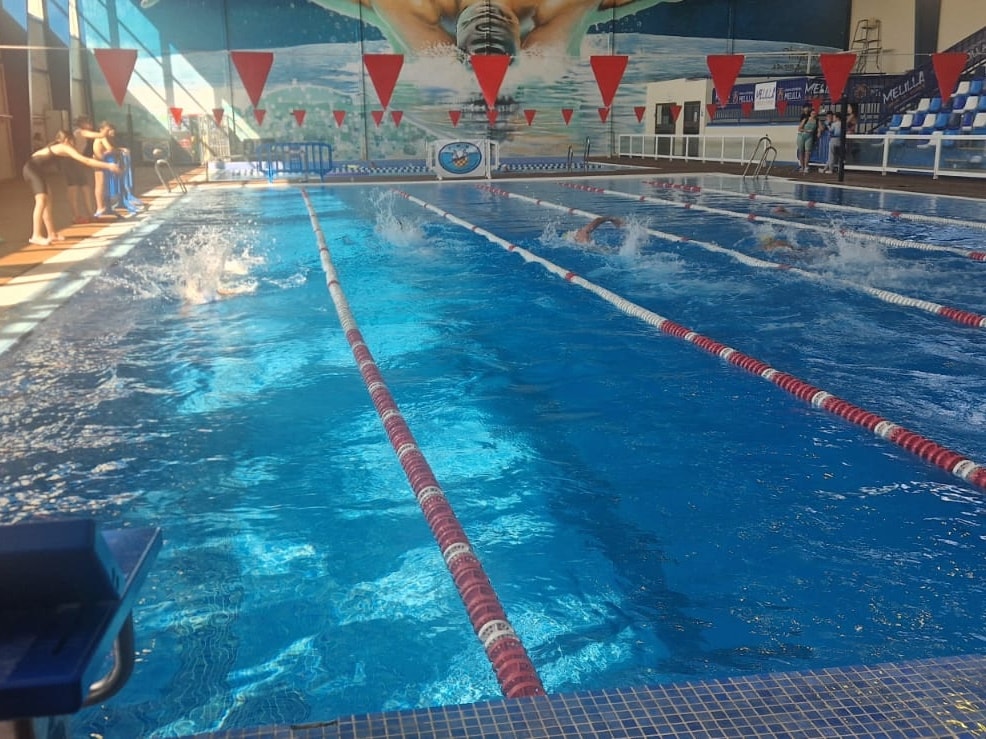 Competidores nadando en la Toma de Tiempos 2026 en piscina