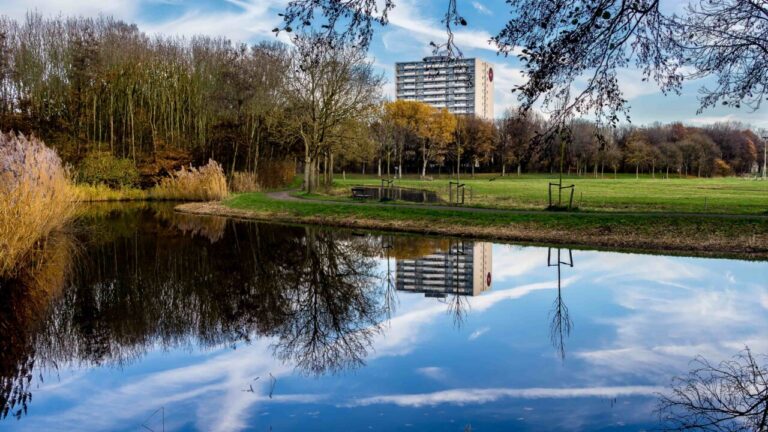 Reflejo de un edificio en un estanque rodeado de vegetación