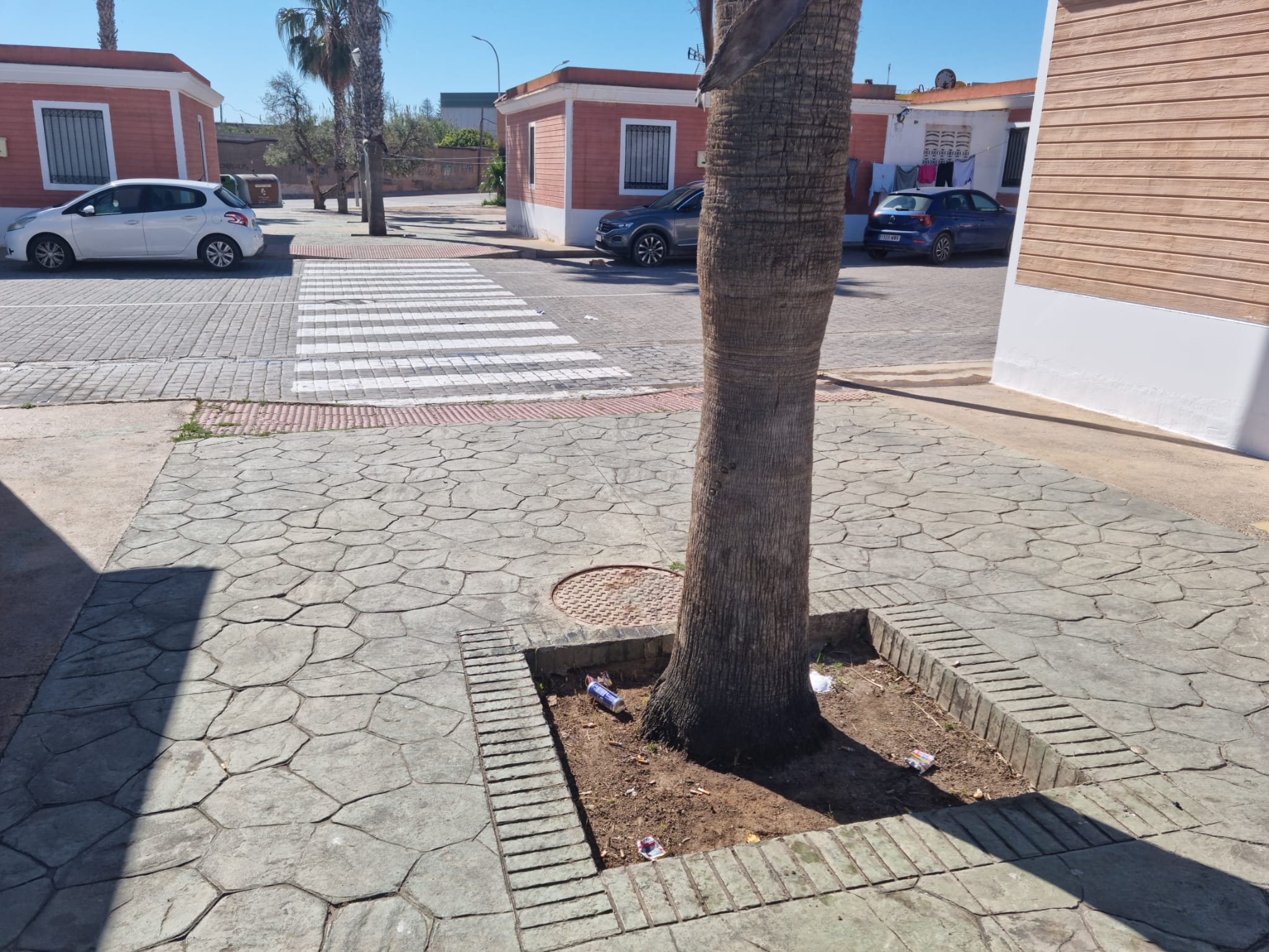 Imagen del artículo