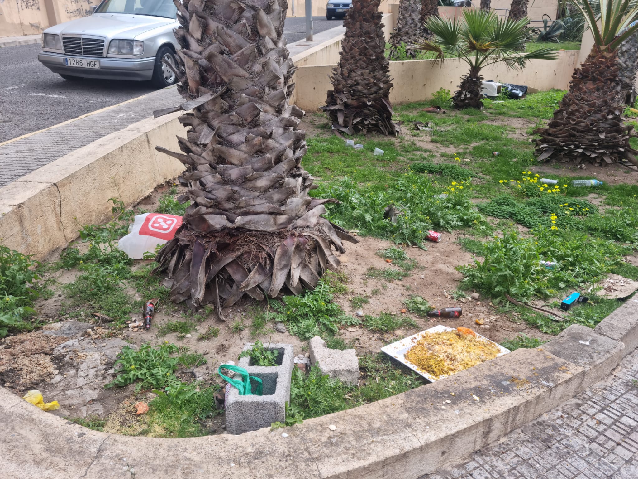 Imagen del artículo