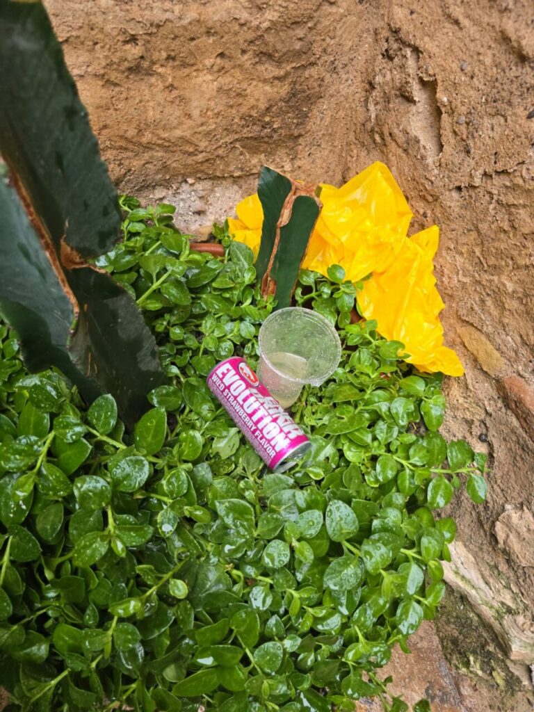 Botella y vaso en plantas tras actos vandálicos en Melilla
