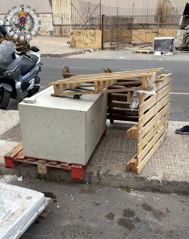 Residuos electrónicos abandonados en el Paseo de las Margaritas