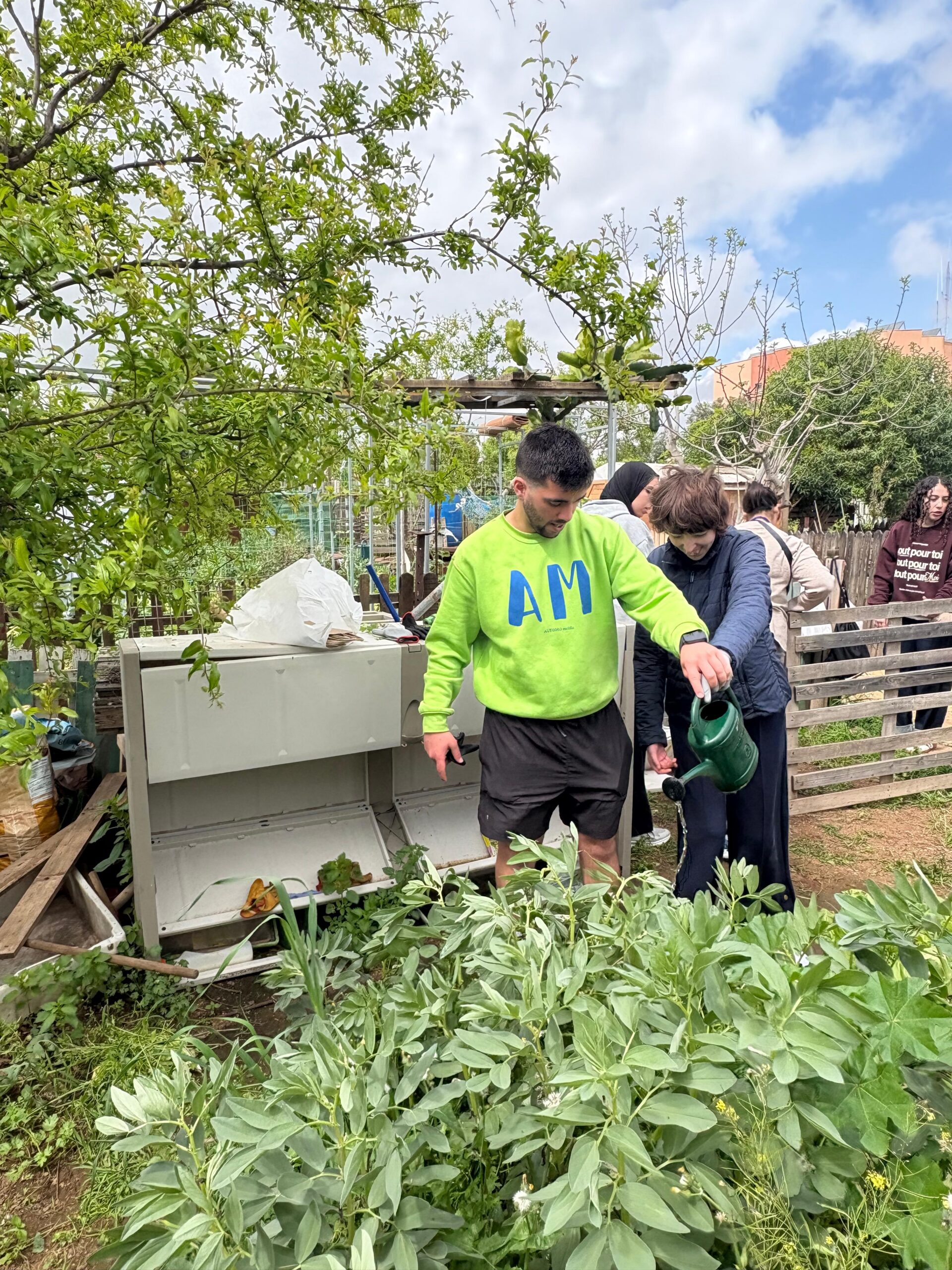 Imagen del artículo