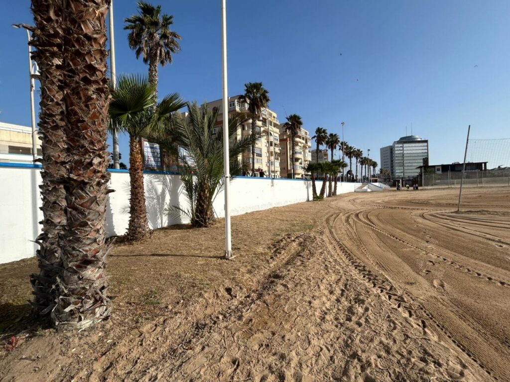 Vista de la playa de San Lorenzo con palmeras y edificios cercanos