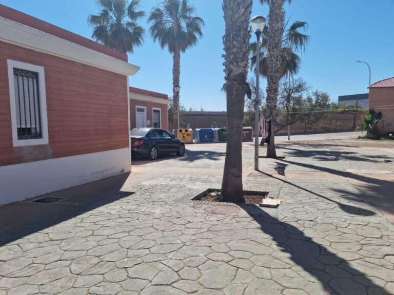Vista de un paseo con palmeras y un vehículo estacionado