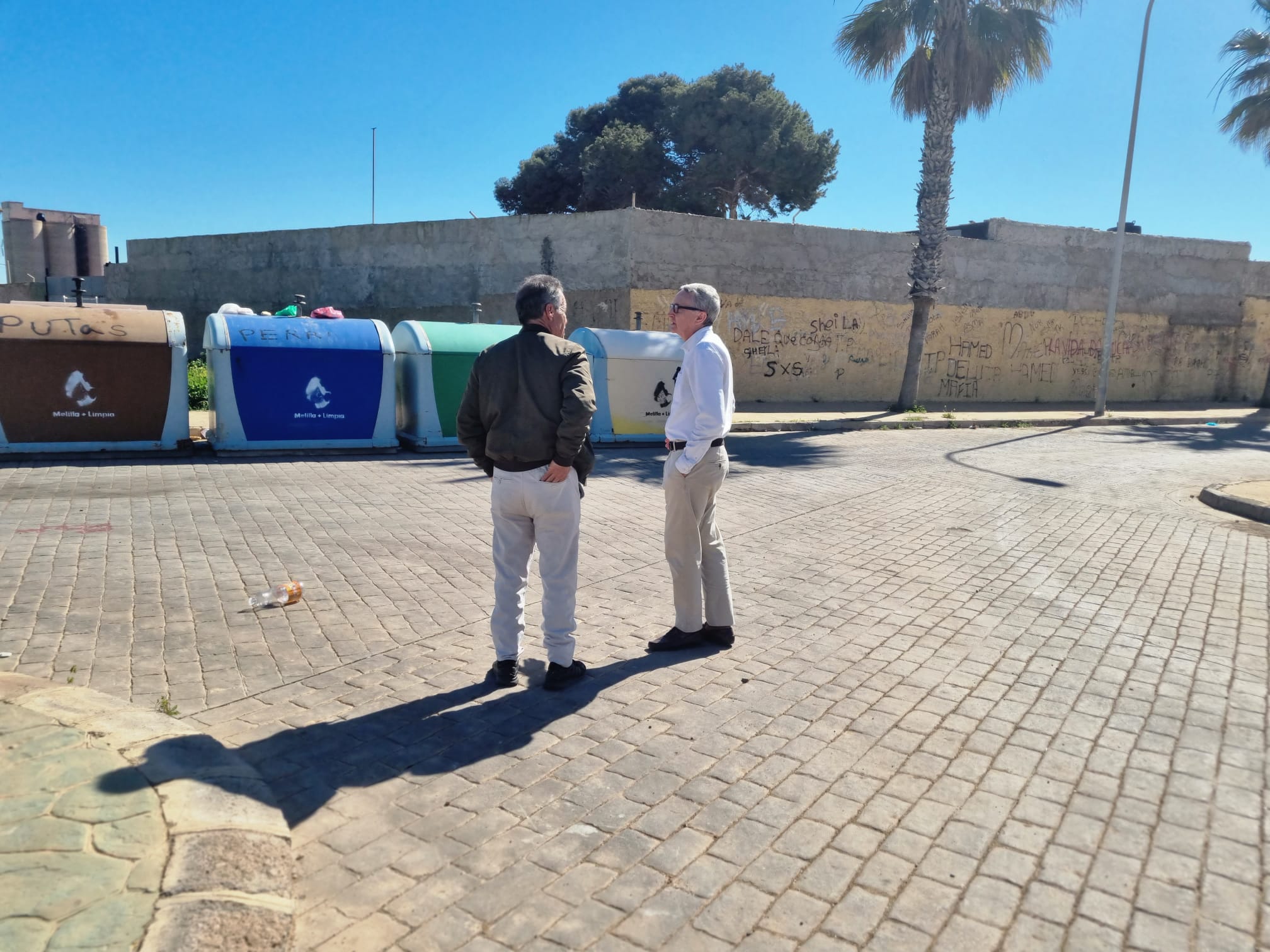 Imagen del artículo