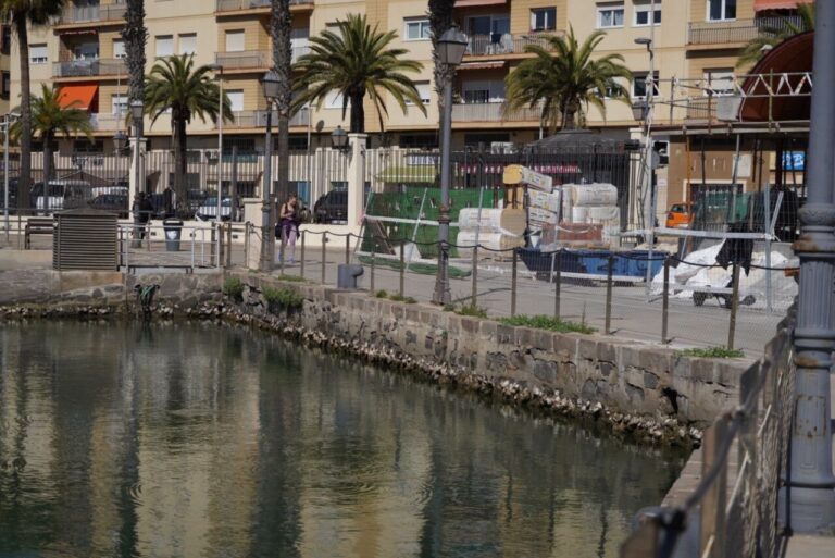 Vista del Dique Sur en Melilla con palmeras y obras en el fondo