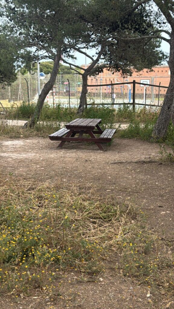 Mesa de picnic en el parque periurbano de Rostrogordo con vegetación