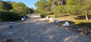 Camino en los pinares de Rostrogordo con papeleras y caminos pintados