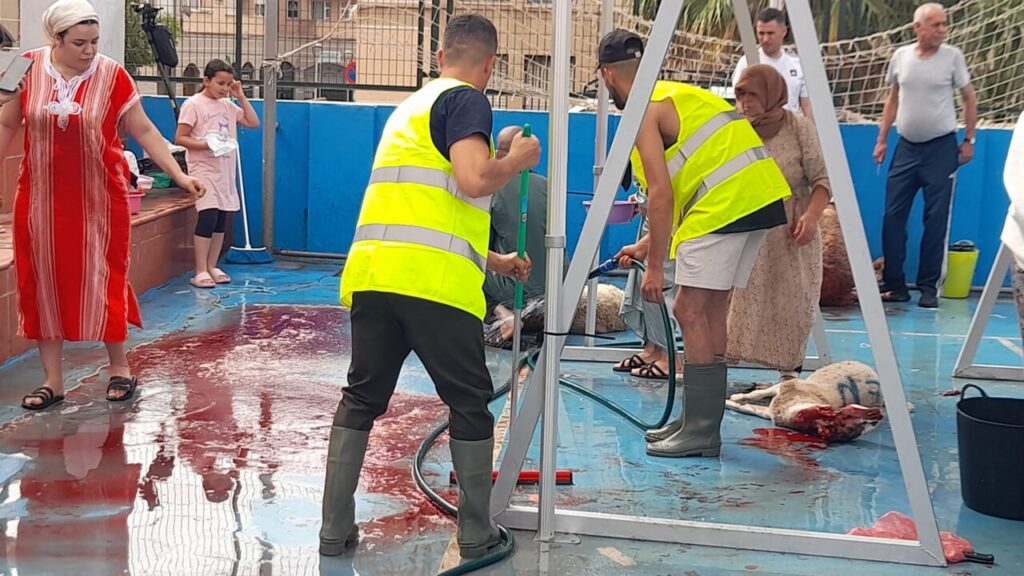 Familia musulmana realizando el rito del sacrificio durante Eid Al-Adha en Melilla.