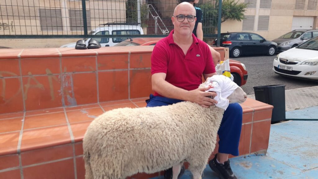 Hombre sentado con un cordero en un banco durante Eid Al-Adha en Melilla