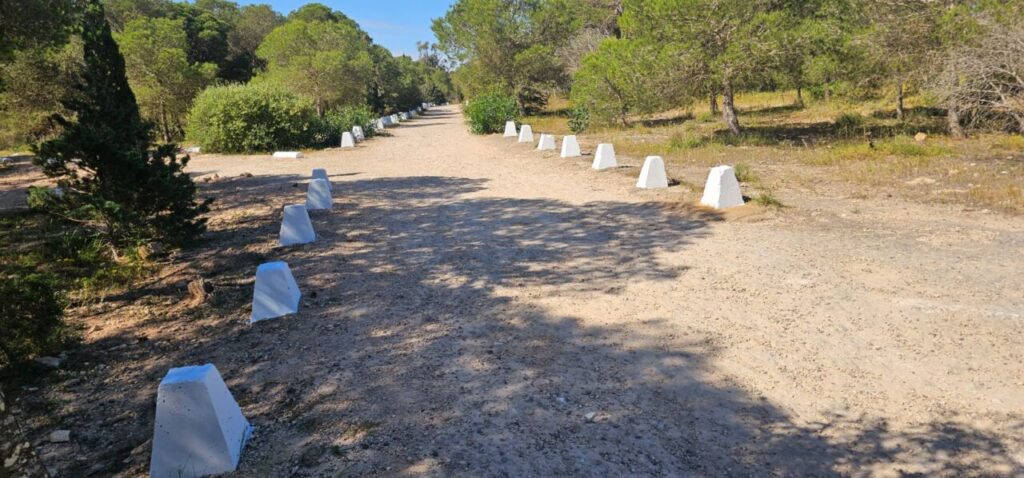 Gravel road with white concrete barriers along both edges in a sunny forest setting, stretching into the distance.
