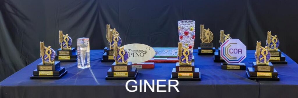 Trofeos y premios en la Gala del Deporte de Melilla 2025