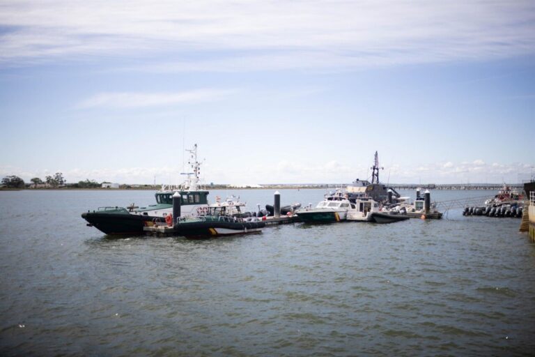Boats docked at a marina on a calm river with a pier on the right and a clear blue sky above