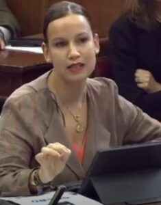 Isabel Moreno hablando en el Senado sobre salud mental en España