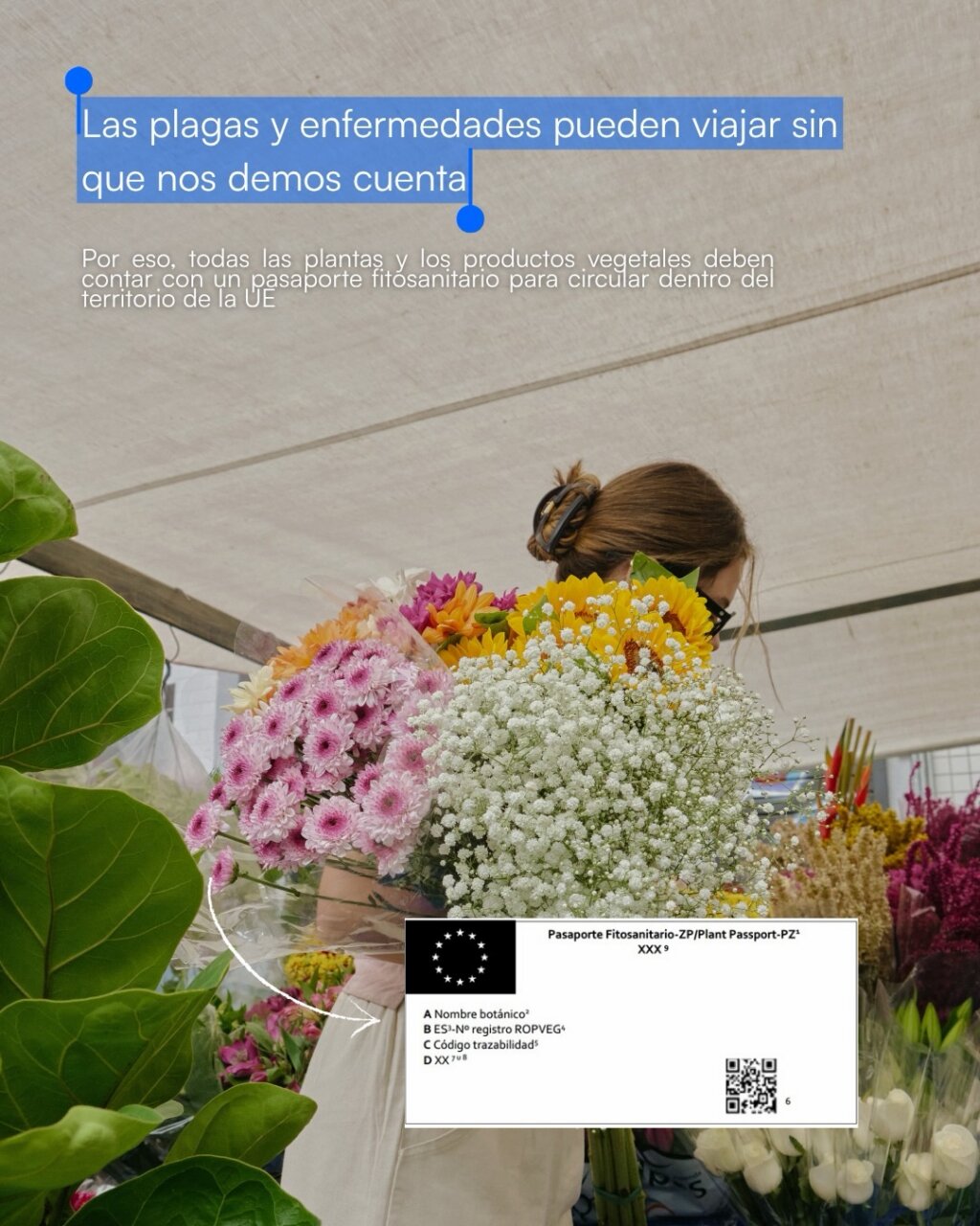 Mujer sosteniendo un ramo de flores en un mercado con mensaje sobre sanidad vegetal