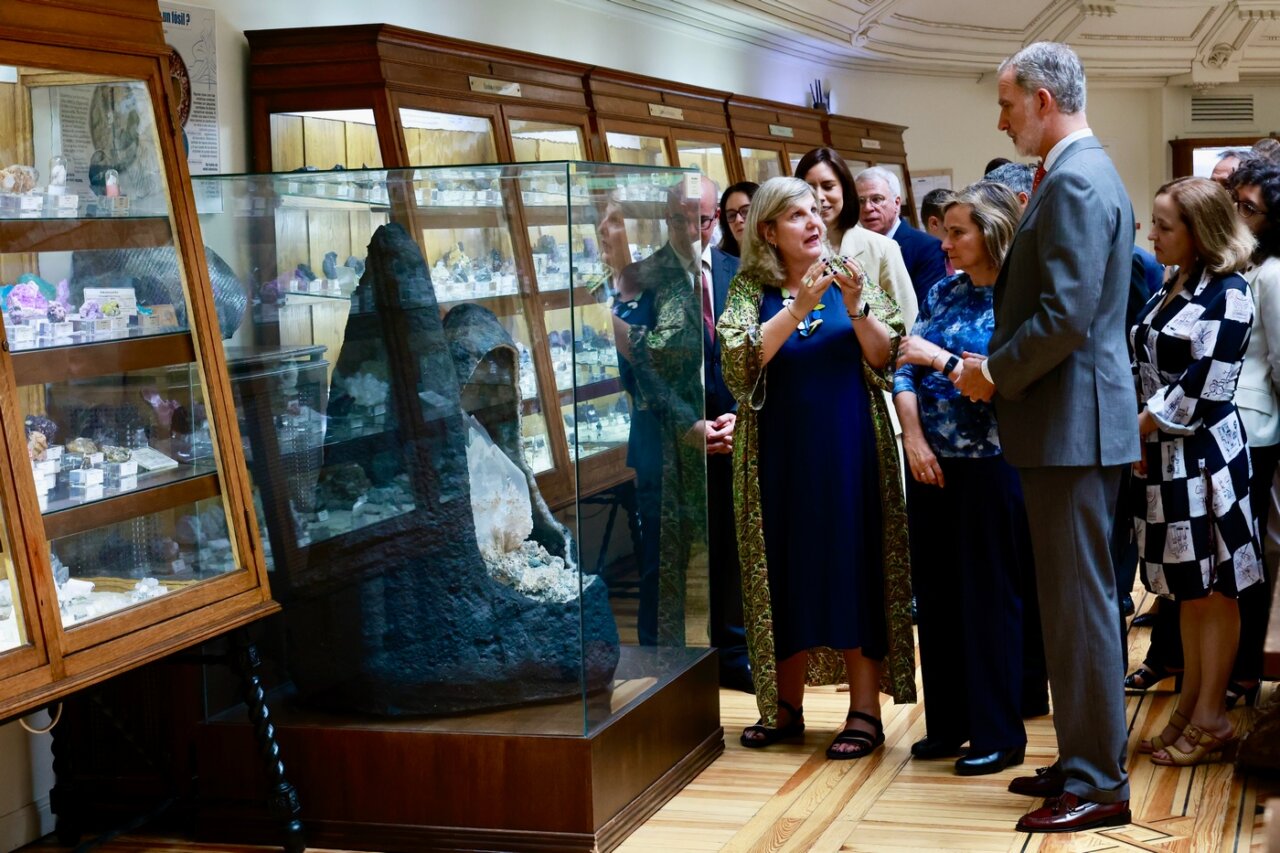 Group of adults on a museum tour listening to a guide near a glass display of rocks in a case.