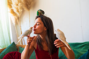 Woman sitting on a couch with two white budgies perched on her hands and a green parrot on her head indoors.