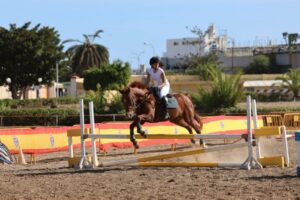 Rider in a white top and black helmet jumps a chestnut horse over a yellow-and-white obstacle in an outdoor arena.