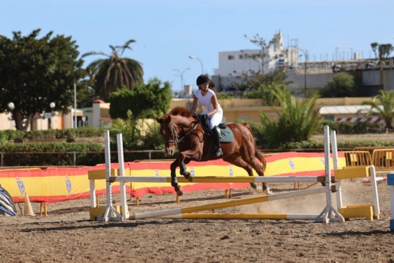 Rider in a white top and black helmet jumps a chestnut horse over a yellow-and-white obstacle in an outdoor arena.
