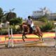 Rider in a white top and black helmet jumps a chestnut horse over a yellow-and-white obstacle in an outdoor arena.