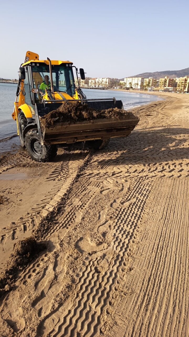 Yellow front-end loader on a sandy beach, scooping moist sand with city buildings in the background by the water's edge