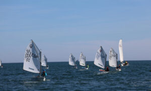 Fleet of small sailboats racing on a blue sea under a clear sky, sails numbered and crews steering decisively.