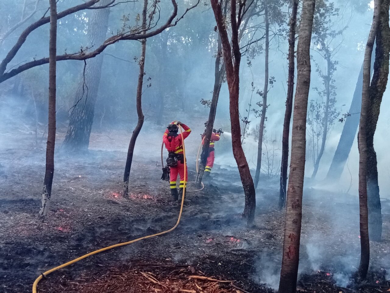 Bomberos trabajando en la extinción de un incendio forestal