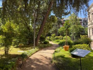 Sunny courtyard garden with a winding path, trees and shrubs, a large orange-pot tree on the right, and a historic building edge visible on the right.