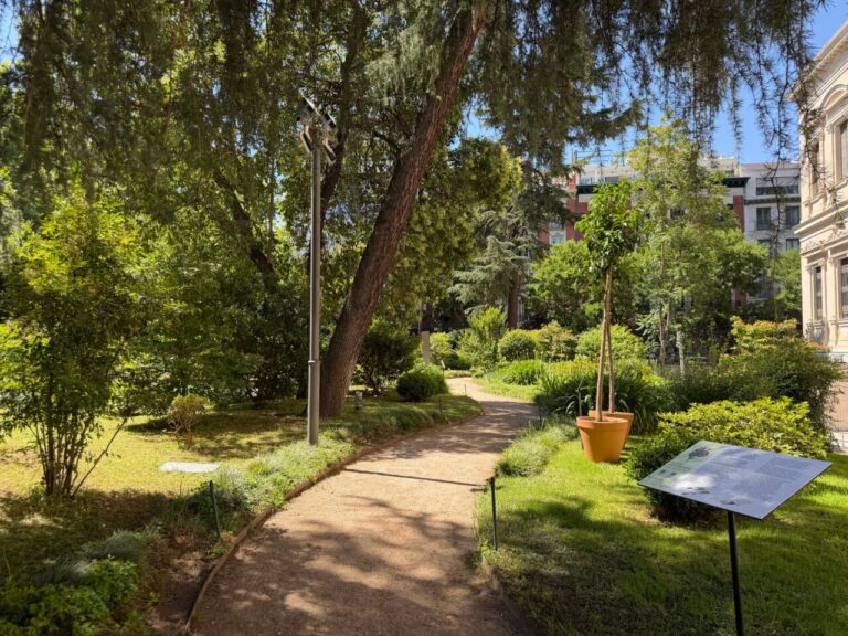 Sunny courtyard garden with a winding path, trees and shrubs, a large orange-pot tree on the right, and a historic building edge visible on the right.