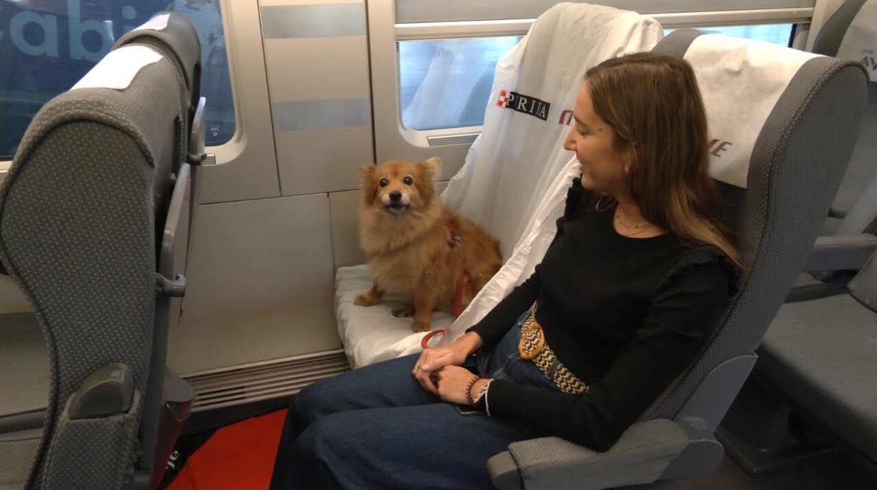 Mujer sentada en un tren con un perro pequeño junto a ella