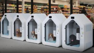 Five white capsule dog pods lined up in a store, each containing a resting dog.