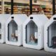 Five white capsule dog pods lined up in a store, each containing a resting dog.